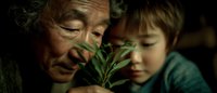 Elderly grandmother and young granddaughter examining small green plant together, intergenerational bonding through nature exploration and gardening education.
