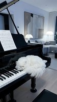 White fluffy cat sleeping on grand piano keyboard in modern living room with sheet music, contemporary art, and minimalist decor for luxury lifestyle and music concepts.
