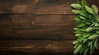 Fresh sage leaves border on dark rustic wooden background with copy space, overhead view for food photography and menu design.