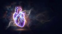 Glowing anatomical heart with electric purple energy surrounded by cosmic nebula clouds against dark starry space background for medical and science concepts.