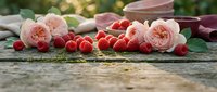 Pink garden roses and red raspberries arranged on rustic wooden surface with blurred tableware background, suitable for food styling and floral design projects.