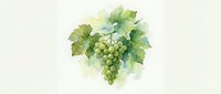 Watercolor grape cluster with green leaves on light background for wine labels, kitchen decor, and culinary designs.