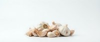 Pile of crushed seashells and clam shells isolated on white background, ready for design projects, crafts, and coastal-themed compositions.