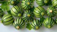 Fresh round striped zucchini with green leaves arranged in rows on light background, top view. Organic seasonal vegetables for healthy cooking.