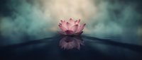 Pink lotus flower blooming on calm water surface with soft light rays and misty atmospheric background creating peaceful zen meditation mood.