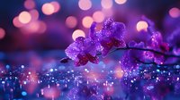 Purple orchid flowers with water drops against blurred bokeh background in magical evening light creating dreamy romantic atmosphere.