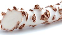 Fresh horseradish root with brown skin partially peeled showing white flesh interior isolated on white background for culinary and cooking designs.