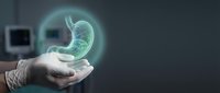Medical professional displaying holographic stomach anatomy model in healthcare technology concept for gastroenterology education and diagnosis.