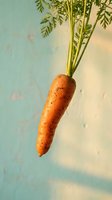 Fresh orange carrot with green leafy tops isolated against soft turquoise and cream textured background, suitable for food, cooking, nutrition, and healthy eating design projects.