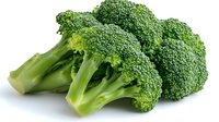 Fresh green broccoli florets and stems isolated on white background, raw organic vegetable rich in nutrients and antioxidants for healthy eating and cooking.
