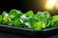 Fresh green baby bok choy leaves arranged in black container with dramatic lighting, closeup view showing natural texture and veins of organic Asian vegetables.