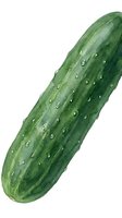 Fresh green cucumber with water droplets isolated on white background, suitable for food, nutrition, and grocery retail applications.