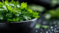 Fresh wet parsley leaves in black bowl with water drops on dark background. Macro shot of aromatic herbs with selective focus and natural lighting.