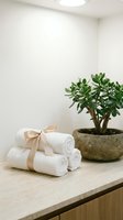 Clean spa bathroom interior with rolled white towels tied with beige ribbon and jade plant in stone pot on marble counter for wellness relaxation.