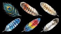 Colorful feathers collection isolated on transparent background, ready for t-shirt design, clipart, stickers, sublimation and print-on-demand projects.