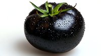 Fresh black tomato with water droplets and green stem isolated on white background for healthy cooking and organic food concepts.
