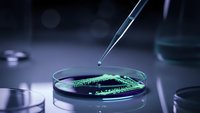 Laboratory pipette dropping green liquid sample into petri dish for scientific research and medical testing in modern lab environment.