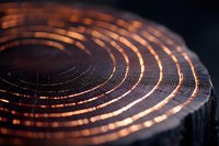 Macro shot of wood rings illuminated with copper-colored light creating curved glowing lines against dark background, showing natural growth pattern texture.