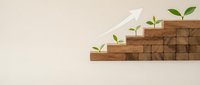 Business growth concept with wooden blocks forming ascending steps and green plants sprouting from each level with upward arrow on beige background.