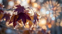 Autumn grape leaves with water droplets on vine branch against warm bokeh lights background creating seasonal harvest atmosphere.
