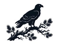 Eagle perched on pine branch silhouette, isolated on white background. Suitable for logos, t-shirt designs, decals, and clipart applications.