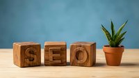 SEO wooden letter blocks spelling search engine optimization concept with small succulent plant on wooden desk against blue background.
