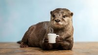 Adorable otter holding white coffee mug on wooden surface against soft blue background, perfect for morning beverage and wildlife humor concepts.