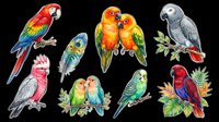 Colorful tropical parrots clipart set isolated on transparent background, ready for t-shirt design, stickers, sublimation, and print on demand crafts.