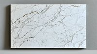 Elegant white marble texture with delicate gray and brown veining creates natural stone pattern, suitable for luxury interior design and architectural visualization.