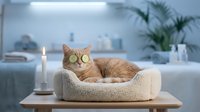 Orange tabby cat wearing glasses relaxing in cozy pet bed beside lit candle in modern bathroom spa setting for wellness and relaxation concepts.