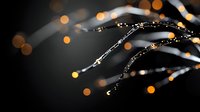 Macro shot of water droplets on dark branches with golden bokeh lights creating magical atmosphere. Natural abstract background with dew drops glowing at dawn.