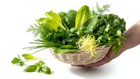 Fresh green herbs and leafy vegetables in wicker basket held by hands on white background, organic cooking ingredients for healthy meals and recipes.