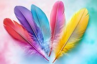 Vibrant colorful feathers arranged in fan shape on soft pastel background. Red, purple, blue, pink and yellow plumes create dreamy composition for design projects.