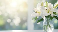 Elegant white lilies in glass vase against soft bokeh background, creating serene atmosphere for home decor or special occasions.