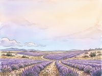 Lavender field landscape with rolling hills, winding rows of purple flowers, and soft pastel sky with clouds at sunset or sunrise, suitable for travel, nature, agriculture, and wellness design projects.