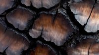 Dramatic macro view of charred wood texture showing deep cracks and burnt patterns in dark brown and black tones, highlighting natural abstract patterns.