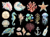 Watercolor ocean and sea life collection featuring isolated marine animals, shells, coral, starfish, seahorse, sea turtle, jellyfish, and nautical elements on transparent background. Ready for t-shirts, clipart, stickers, and print-on-demand designs.