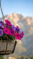 Vibrant purple and pink petunias blooming in rustic wooden hanging basket against blurred mountain landscape background for garden and outdoor decor.