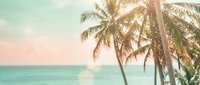 Tropical paradise with palm trees swaying over turquoise ocean waters at golden hour sunset creating dreamy vacation atmosphere for travel content.