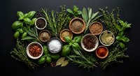 Fresh herbs and spices collection with basil, rosemary, thyme arranged on dark background. Culinary ingredients for cooking and seasoning food preparation.