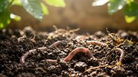 Earthworm crawling through rich soil with green seedling leaves above, representing organic gardening, composting, and sustainable agriculture practices.