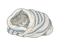 Tabby cat wrapped in cozy striped blanket, isolated on white background, suitable for pet care, comfort, and lifestyle design projects.