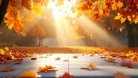 Golden sunbeams pierce through autumn foliage, illuminating fallen maple leaves on wooden deck with warm light creating magical seasonal atmosphere.