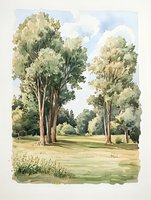 Serene summer landscape with tall eucalyptus trees in park setting, soft watercolor style showing sunlit meadow and lush green foliage against blue sky.