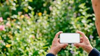 Hands holding smartphone with blank screen against blooming flower garden background, ideal for mobile app marketing and digital technology concepts.
