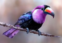Vibrant purple and black tropical bird with curved beak perched on branch against soft blurred background, showcasing exotic wildlife in natural habitat.