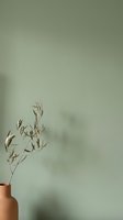 Minimalist dried eucalyptus branch in terracotta vase casting soft shadow on sage green wall for modern home decor and interior design projects.