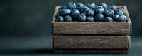 Fresh ripe blueberries in rustic wooden box against dark background, panoramic food composition with copy space for text or design.