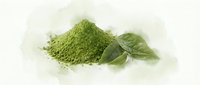 Vibrant green matcha powder pile with fresh leaves on white background, isolated for beverage, wellness, and culinary design projects.
