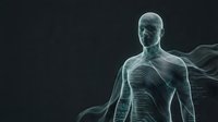 Holographic male figure with digital wireframe anatomy overlay displaying internal systems and neural pathways on dark background for medical and technology concepts.